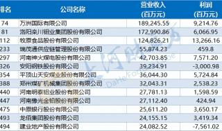 双汇是国货吗 双汇国际控股有限公司